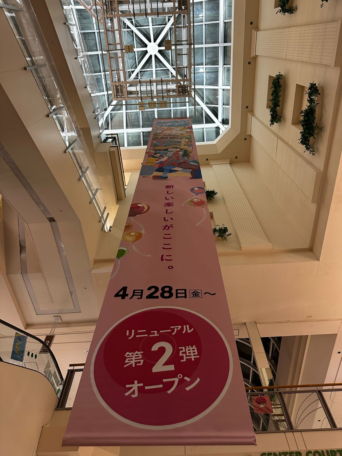 車両ラッピング広告（西条市）